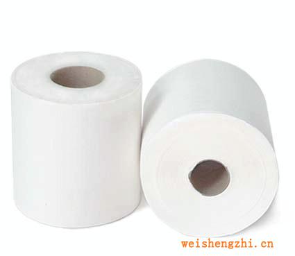 廠家直銷(xiāo)供應(yīng)優(yōu)質(zhì)卷筒衛(wèi)生紙