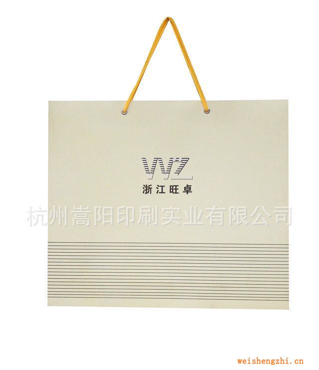 杭州嵩陽供應紙類包裝容器禮品袋紙袋