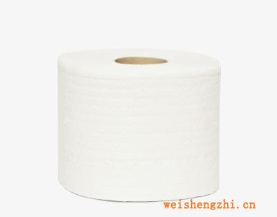 批量直銷供應13-50克木漿輥筒紙衛(wèi)生紙量大優(yōu)惠