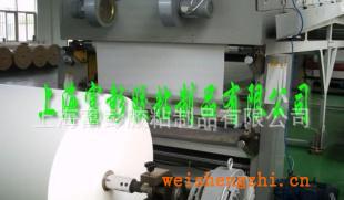 輪胎標(biāo)簽底層背膠用牛皮材質(zhì)白色單面離型紙，硅油紙廠家直銷