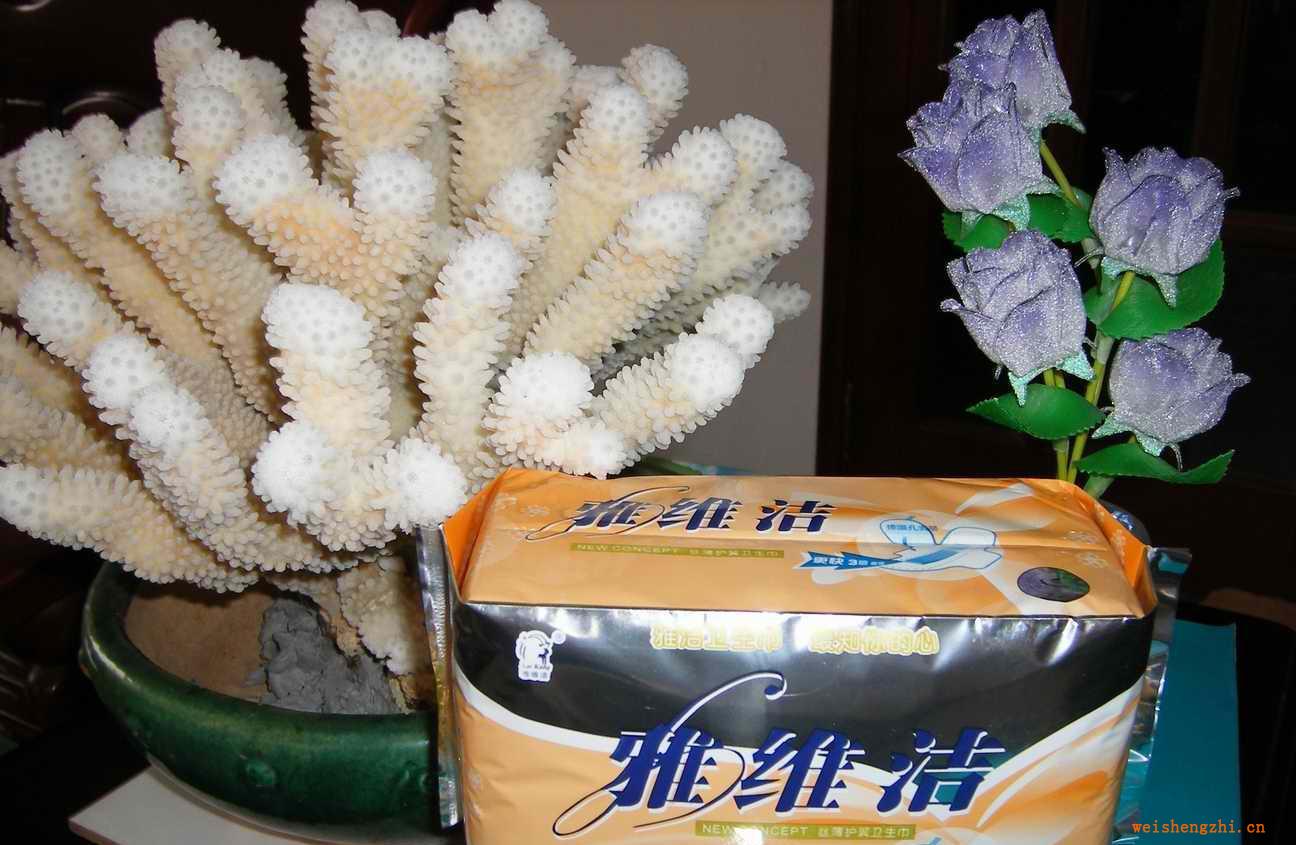 誠招衛生巾區域代理商