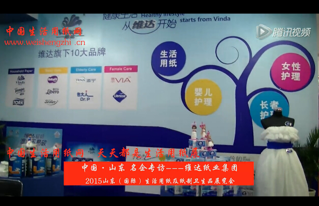 維達紙業集團