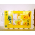 紙友2500克ZY-850/滿城縣辰宇紙業(yè)/保定衛(wèi)生紙