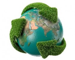 加大政策激勵 讓林業釋放更強碳匯潛力