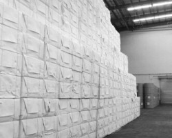 紙漿市場基本維持穩(wěn)定