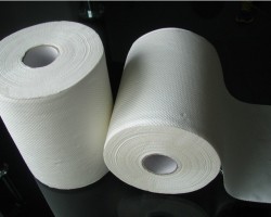 衛生紙的產生——美麗的意外