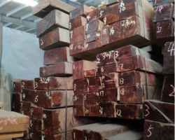 11月1日起，中國木材產品進口關稅降至5.4%