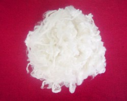 四川省竹子制漿造紙企業岷沱江流域水污染物排放標準專家咨詢會和企業座談會成功召開