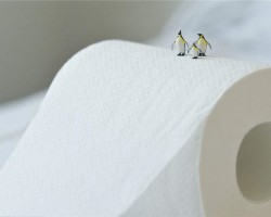 生活用紙上演經(jīng)銷渠道“三國殺” 三家上市公司去年?duì)I收438億