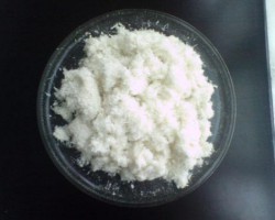 紙漿小幅下跌 短期關(guān)注下方支撐