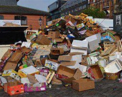 廢紙價格出現(xiàn)上漲苗頭 玖龍仍在觀望