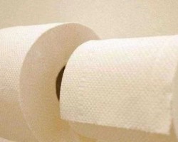 山鷹1月份量價齊升 造紙板塊銷量同比增長近200%