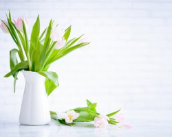 太陽(yáng)紙業(yè)與愛(ài)之家醫(yī)院“合作醫(yī)療單位”揭牌